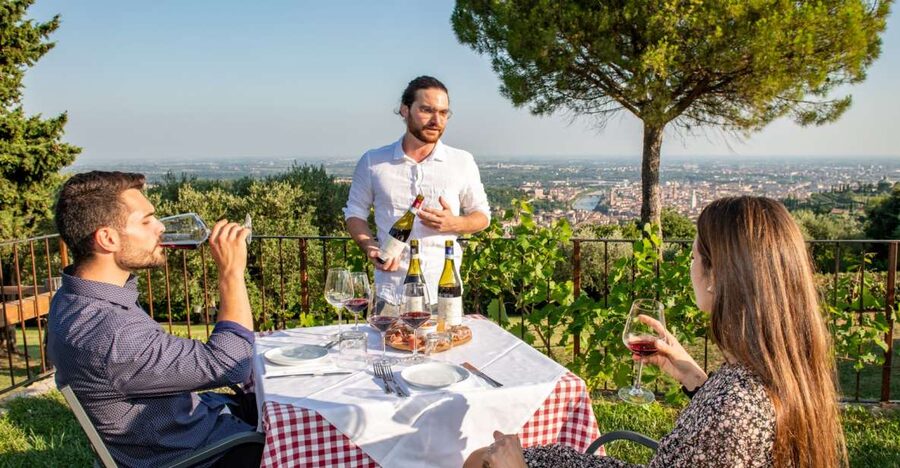 Verona: Wine Tasting with Snacks and Panoramic Views - The 30-minute walk through the vineyards and winery