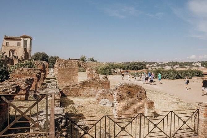 VIP Colosseum, Roman Forum & Palatine Hill & Special Access Sites - Crowds, pace, and physical demands
