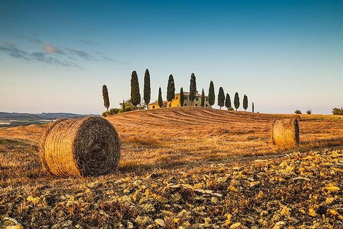 Walking Food Tour of Florence with Tastings and Wine - Is $119.72 a fair price?