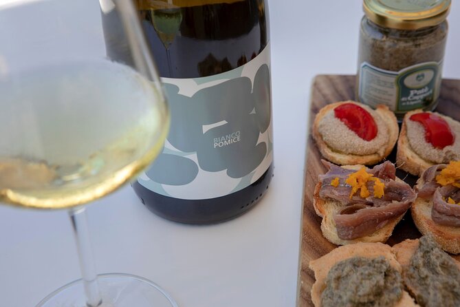 Wine tasting THE CLASSICS - Key points at a glance