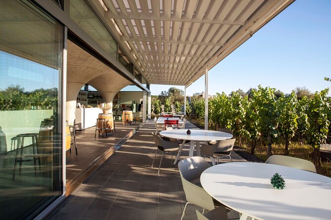 Wine tasting THE CLASSICS - The guide can shape the whole visit