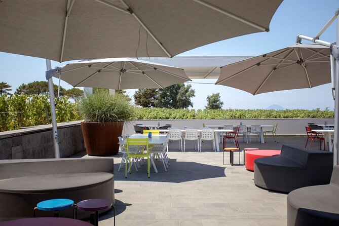 Wine tasting THE CLASSICS - The winery walk and production spaces